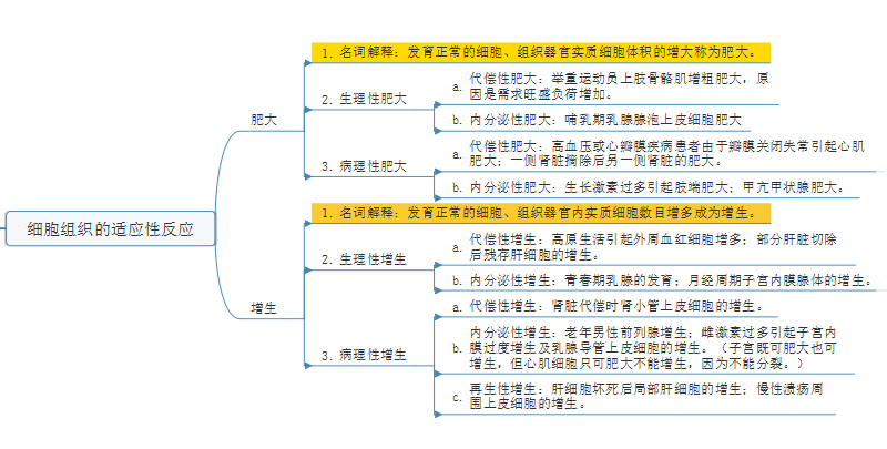 细胞组织的适应性反应