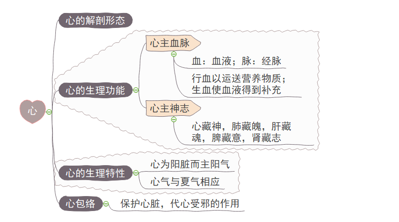 五脏思维导图