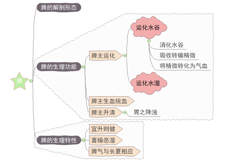 五脏思维导图