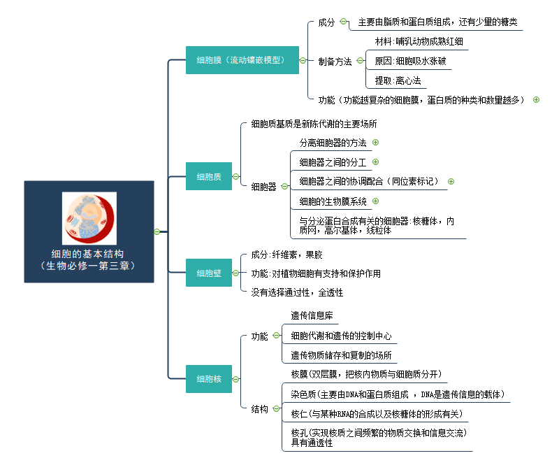 生物复习思维导图