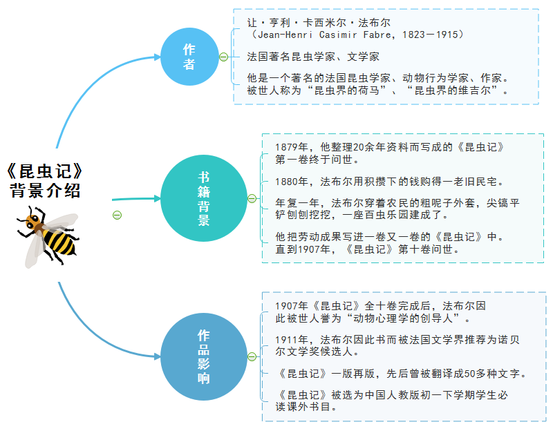 昆虫记思维导图