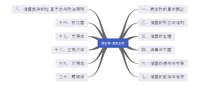 微生物思维导图