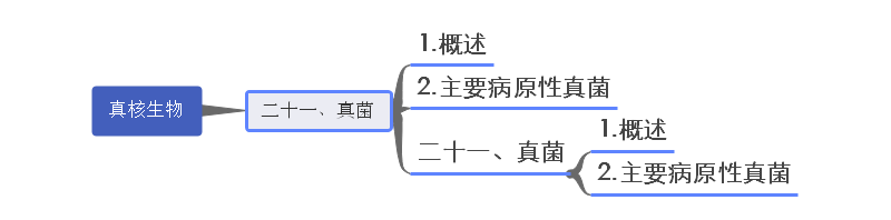 真核生物