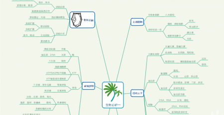 生物知识思维导图