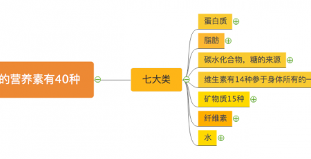 人体所需的营养